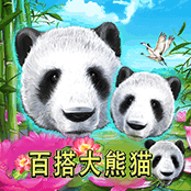百搭大熊猫