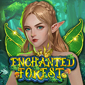 Enchanted Forest