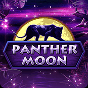 Panther Moon