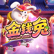 金钱兔
