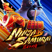 Ninja vs Samurai