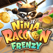 Ninja Raccoon Frenzy
