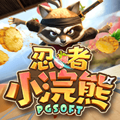 忍者小浣熊