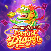 Fortune Dragon