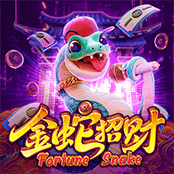 金蛇招财