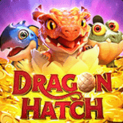Dragon Hatch