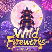 Wild Fireworks