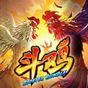 斗鸡