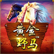黄金野马
