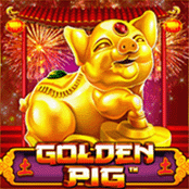 ゴールデンピッグ