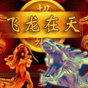 飞龙在天