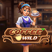 コーヒー ワイルド