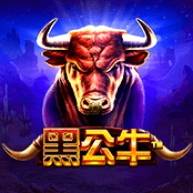  黑公牛