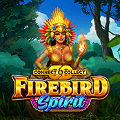 ファイアバード スピリット コネクト & コレクト