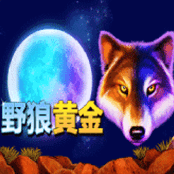 野狼黄金