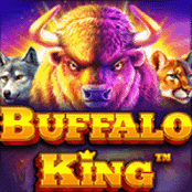 Buffalo King