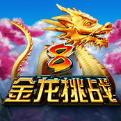 8金龙挑战