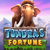 Tundra's Fortune