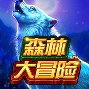 森林大冒险