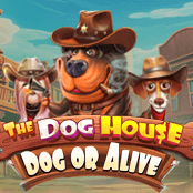 The Dog House Dog or Alive