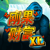 刚果财富 XL