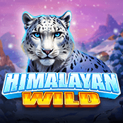 Himalayan Wild