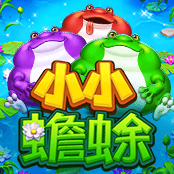 小小蟾蜍