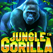 Jungle Gorilla