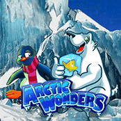 Arctic Wonders