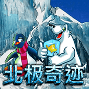 北极奇迹