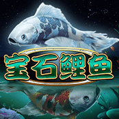 宝石鲤鱼