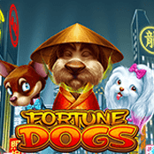 Fortune Dogs