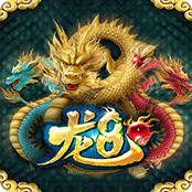 龙8