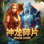 Dragon Shard