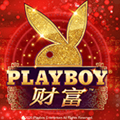 Playboy Fortunes
