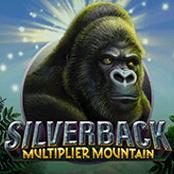 Silverback Multiplier Mountain