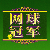 网球冠军