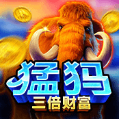 猛玛三倍财富