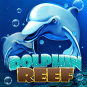 Dolphin Reef