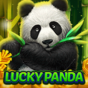 Lucky Panda