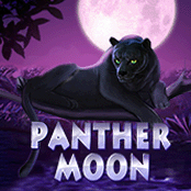 Panther Moon