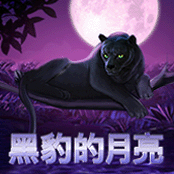 黑豹的月亮