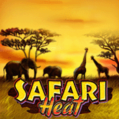 Safari Heat