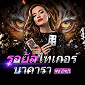 รอยัลไทเกอร์บาคารา