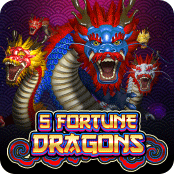 5 Fortune Dragons
