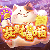 发财喵喵
