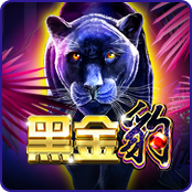 黑金豹