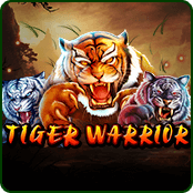 Tiger Warrior