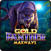 Gold Panther Maxways