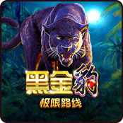 黑金豹 极限路线